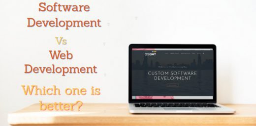 web software development