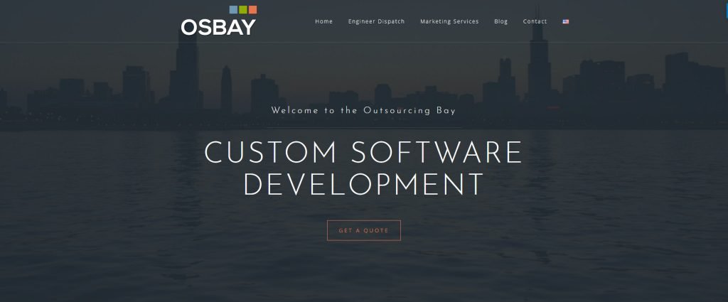 custom software development