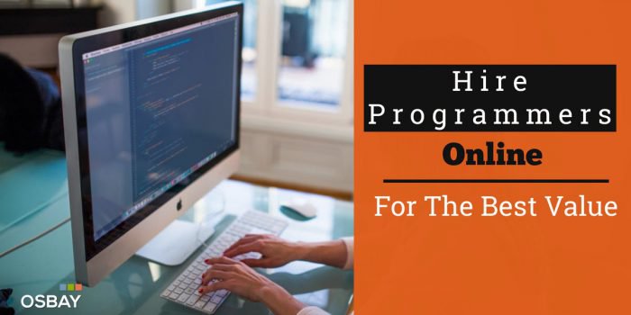 hire programmers online