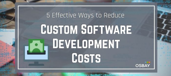 custom software development