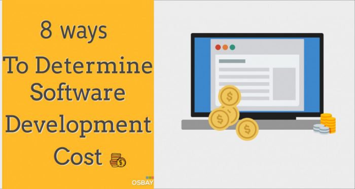 software development costs