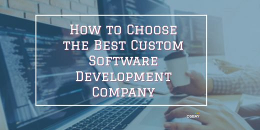 custom software development