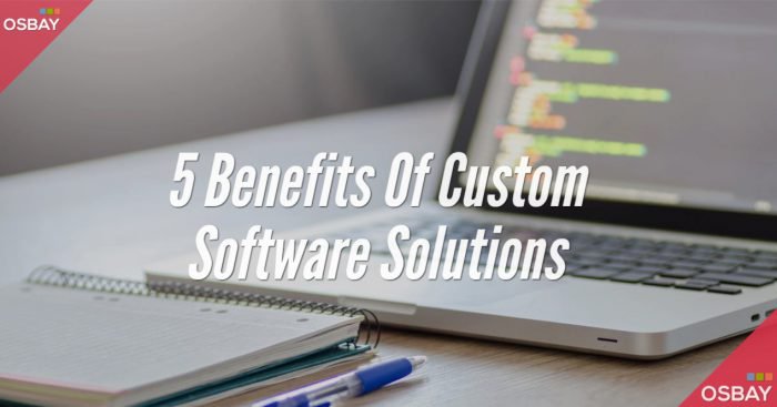 5 Benefits Of Custom Software Solutions 1 custom software