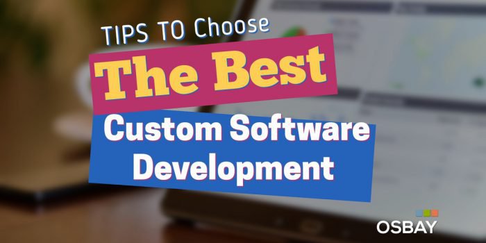 custom software development