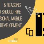5 Reasons Why You Should Hire Professional Mobile Application Development Company