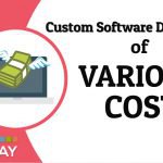 Custom Software Development Company of Various Cost