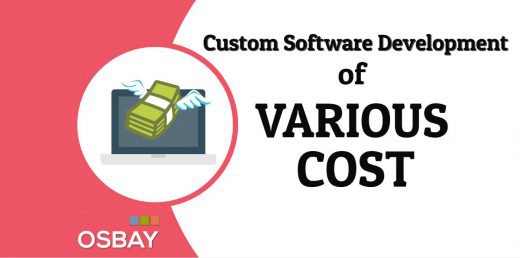 Custom software development company