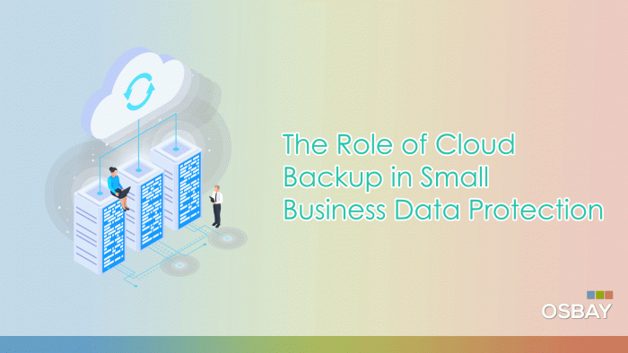 The-Role-of-Cloud-Backup-in-Small-Business-Data-Protection