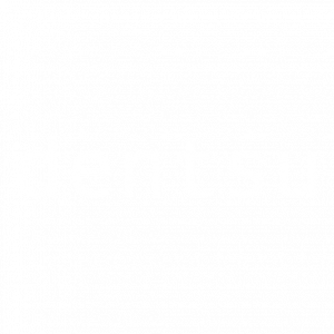 Remote Engineers 7 PT dentsu